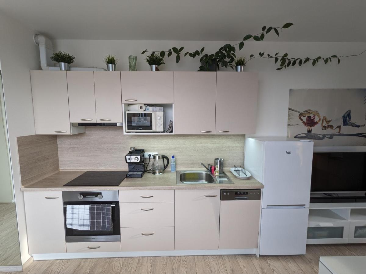 Cozy Apartment With Big Terrace In Central Prague - Karlin エクステリア 写真